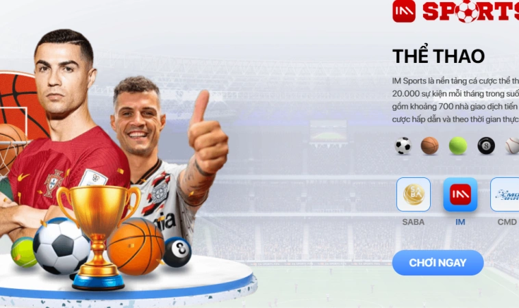 Bí Quyết Thắng Lớn Khi Chơi Cá Cược Thể Thao Im TF88 2 Giới thiệu tổng quan thể thao IM TF88