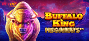 buffalo king net88