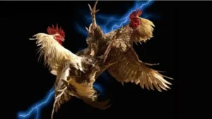 Đá Gà iBET88: Bí Quyết Thắng Lớn Cho Người Chơi Online