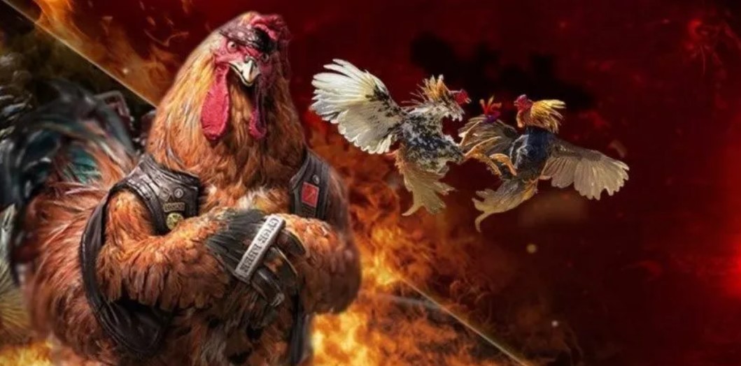 Bí Quyết Thành Công Với Đá Gà AE888: Hành Trang Cho Cược Thủ 2 Bí Quyết Chọn Kèo Đá Gà Hiệu Quả