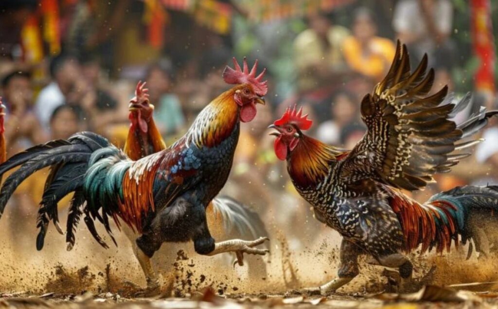 Bí Quyết Thành Công Với Đá Gà AE888: Hành Trang Cho Cược Thủ 1 Đá Gà AE888