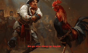 Link vào Nhà Cái Hay88